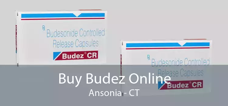 Buy Budez Online Ansonia - CT