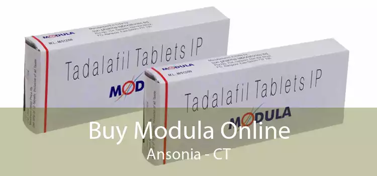 Buy Modula Online Ansonia - CT