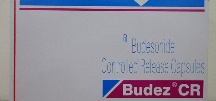 buy Budez in South Windham, CT