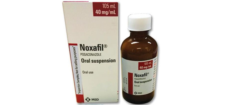 order cheaper noxafil online in South Windham, CT